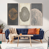 80725-MGV-CV-36X24-Wood Tree Rings Wall Art Canvas Print, Framed Tree Rings Art Picture Print, Abstract Tree Rings Perfect Modern Boho Decor Artwork