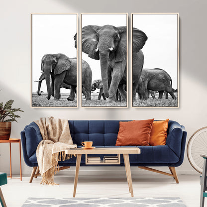 91685-MGV-CV-36X24-Elephant Herd Wall Art – Black and White Safari Canvas Print, African Wildlife Photography Decor for Living Room, Office or
