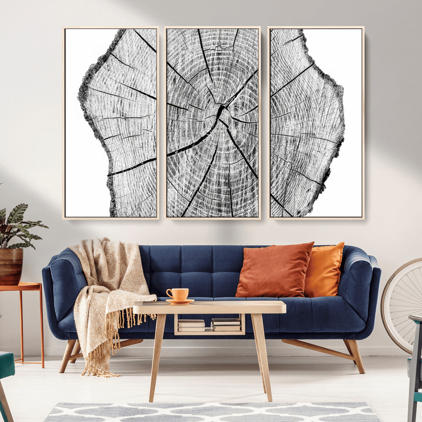 98709-MGV-FC-48X32-3P_Natural-Tree Ring Wall Art – Black and White Canvas Print Rustic Wood Cross Section, Minimal Nature Inspired Decor for Living Room,