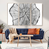 98709-MGV-FC-48X32-3P_Natural-Tree Ring Wall Art – Black and White Canvas Print Rustic Wood Cross Section, Minimal Nature Inspired Decor for Living Room,