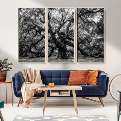 132944706-MGV-CV-36X24-Ancient Tree Wall Art – Black and White Photography Canvas Print Featuring Majestic Twisting Branches, Rustic Nature Artwork for