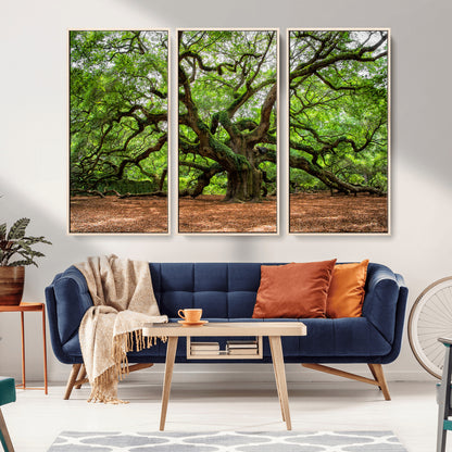 51255351-MGV-CV-36X24-Ancient Tree Wall Art – Majestic Oak Canvas Print, Large Nature Photography, Sacred Forest Landscape Wall Décor, Wisdom Tree