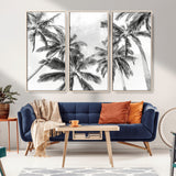 62113786-MGV-FC-48X32-3P_Natural-Black White Palm Wall Art Canvas Print, Framed Monochrome Tropics Art Picture Print, Minimalist Beach Perfect Coastal Minimalist
