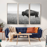 28435251-MGV-CV-36X24-Bison In Prairie Wall Art Canvas Print, Framed Rustic Wildlife Art Picture Print, Wild Buffalo Perfect Rustic Western Decor