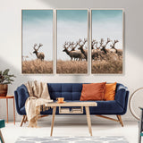 81594705-MGV-CV-36X24-Elk Herd Wall Art Canvas Print, Framed Wildlife Photography Art Picture Print, Rustic Nature Print Perfect Rustic Wildlife Decor