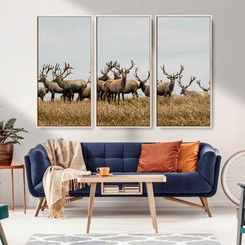 42170220-MGV-CV-36X24-Elk Herd Wall Art Canvas Print, Framed Wildlife Photography Art Picture Print, Majestic Antlers Perfect Rustic Wildlife Decor