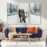 13316292-MGV-CV-36X24-Moose in Snow Wall Art Canvas Print, Framed Winter Wildlife Art Picture Print, Snowy Forest Scene Perfect Rustic Lodge Decor