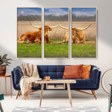 54598515-MGV-CV-36X24-Texas Longhorns Wall Art – Rustic Cattle Ranch Canvas Print, Western Farmhouse Animal Photography Decor for Living Room, Office,