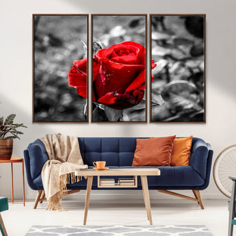 84671-MGV-CV-36X24-Red Rose Wall Art – Vibrant Single Bloom Canvas Print with Black and White Background, Elegant Floral Decor for Living Room,