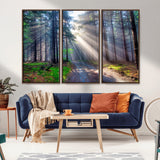 42047-MGV-CV-36X24-Sunlit Forest Path Wall Art – Nature Canvas Print, Serene Woodland Landscape, Perfect Home & Office Decor for Calm and Tranquil