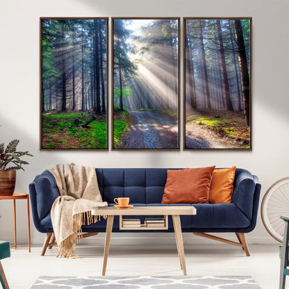 42047-MGV-CV-36X24-Sunlit Forest Path Wall Art – Nature Canvas Print, Serene Woodland Landscape, Perfect Home & Office Decor for Calm and Tranquil