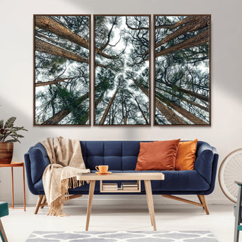 18790-MGV-CV-36X24-Pine Canopy Wall Art – Panoramic View of Towering Pines Canvas Print, Nature-Inspired Decor for Office, Cabin or Living Room