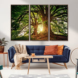 52150-MGV-FC-48X32-3P_Walnut-Majestic Tree Wall Art – Large Nature Canvas Print with Sunlight Through Branches, Rustic Forest Decor for Living Room, Bedroom or