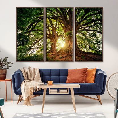 52150-MGV-FC-48X32-3P_Walnut-Majestic Tree Wall Art – Large Nature Canvas Print with Sunlight Through Branches, Rustic Forest Decor for Living Room, Bedroom or