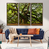 29407-MGV-CV-36X24-Ancient Oak Tree Wall Art – Majestic Nature Canvas Print, Large Tree Photography Decor for Living Room or Office