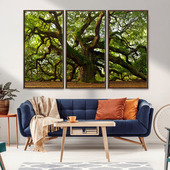 29407-MGV-CV-36X24-Ancient Oak Tree Wall Art – Majestic Nature Canvas Print, Large Tree Photography Decor for Living Room or Office