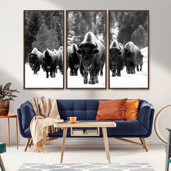 62434-MGV-CV-36X24-Bison Herd Wall Art – Majestic Black and White Buffalo Canvas Print, Wildlife Nature Photography Decor for Living Room, Office or