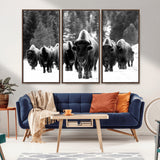 62434-MGV-FC-48X32-3P_Walnut-Bison Herd Wall Art – Majestic Black and White Buffalo Canvas Print, Wildlife Nature Photography Decor for Living Room, Office or