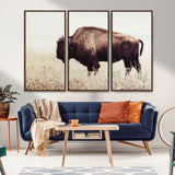 48406-MGV-FC-48X32-3P_Walnut-American Bison Wall Art – Rustic Buffalo Canvas Print in Prairie Field, Western Wildlife Photography Decor for Cabin, Lodge,