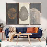 80725-MGV-CV-36X24-Wood Tree Rings Wall Art Canvas Print, Framed Tree Rings Art Picture Print, Abstract Tree Rings Perfect Modern Boho Decor Artwork
