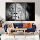 94453-MGV-FC-48X32-3P_Walnut-Lion Portrait Wall Art – Black and White King of the Jungle Canvas Print, Safari Wildlife Decor for Office, Bedroom, or Living