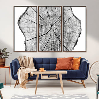 98709-MGV-FC-48X32-3P_Walnut-Tree Ring Wall Art – Black and White Canvas Print Rustic Wood Cross Section, Minimal Nature Inspired Decor for Living Room,