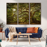 57983-MGV-FC-48X32-3P_Walnut-Angel Oak Tree Wall Art Canvas Print, Framed Oak Tree Art Picture Print, Angel Oak Perfect Rustic Nature Decor Artwork