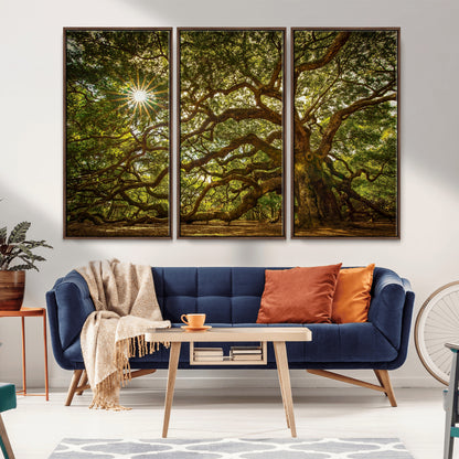 57983-MGV-FC-48X32-3P_Walnut-Angel Oak Tree Wall Art Canvas Print, Framed Oak Tree Art Picture Print, Angel Oak Perfect Rustic Nature Decor Artwork