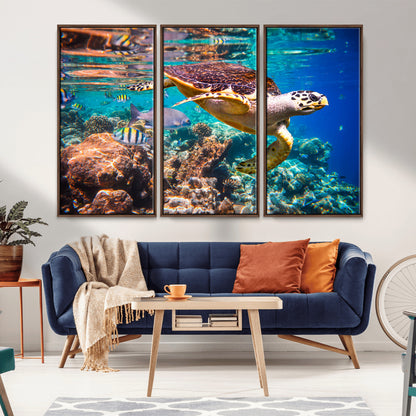 66614-MGV-CV-36X24-Sea Turtle Wall Art – Hawksbill Turtle Swimming Over Coral Reef Canvas Print, Ocean Marine Life Decor for Beach House, Coastal