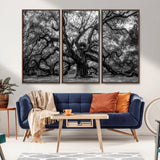 132944706-MGV-CV-36X24-Ancient Tree Wall Art – Black and White Photography Canvas Print Featuring Majestic Twisting Branches, Rustic Nature Artwork for