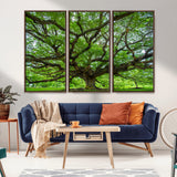 49375306-MGV-CV-36X24-Ancient Tree Wall Art Canvas Print, Framed Sprawling Branches Art Picture Print, Gnarling Tree Perfect Earthy Natural Decor