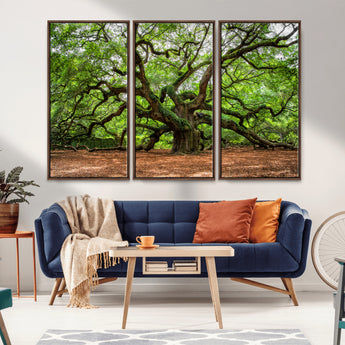 51255351-MGV-CV-36X24-Ancient Tree Wall Art – Majestic Oak Canvas Print, Large Nature Photography, Sacred Forest Landscape Wall Décor, Wisdom Tree