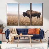 99620201-MGV-FC-48X32-3P_Walnut-Wild Bison Wall Art Canvas Print, Framed Bison in Prairie Art Picture Print, Rustic Western Perfect Rustic Western Decor Artwork