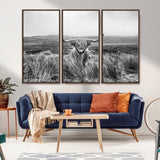 24051061-MGV-CV-36X24-Monochrome Highland Cow Wall Art Canvas Print, Framed Scottish Bull Art Picture Print, Lone Cattle Perfect Rustic Farmhouse Decor