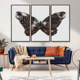 99831147-MGV-CV-36X24-Spotted Butterfly Wall Art Canvas Print, Framed Neutral Insect Theme Art Picture Print, Earthy Wing Pattern Perfect Modern Rustic