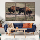 58141885-MGV-CV-36X24-Bison Photography Wall Art Canvas Print, Framed Western Wildlife Art Picture Print, Modern Ranch Perfect Western Rustic Decor