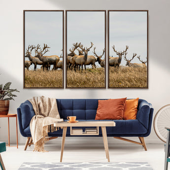 42170220-MGV-CV-36X24-Elk Herd Wall Art Canvas Print, Framed Wildlife Photography Art Picture Print, Majestic Antlers Perfect Rustic Wildlife Decor