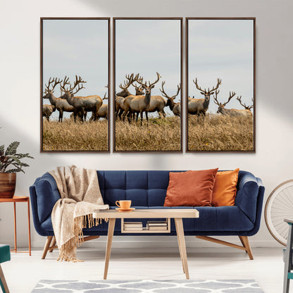 42170220-MGV-CV-36X24-Elk Herd Wall Art Canvas Print, Framed Wildlife Photography Art Picture Print, Majestic Antlers Perfect Rustic Wildlife Decor