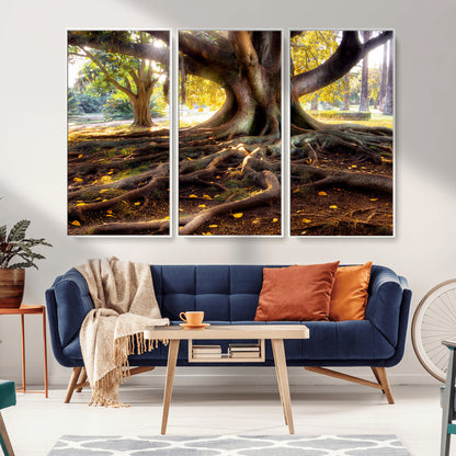 53335-MGV-CV-36X24-Majestic Tree with Sprawling Roots Wall Art – Serene Sunlit Park Scene, Nature Canvas Print, Perfect for Living Room, Office or