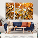 11823-MGV-CV-36X24-Golden Autumn Tree Canopy Wall Art – Stunning Fall Forest Leaves Print, Warm Seasonal Nature Decor for Home, Office or Cabin