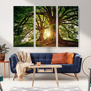 52150-MGV-FC-48X32-3P_White-Majestic Tree Wall Art – Large Nature Canvas Print with Sunlight Through Branches, Rustic Forest Decor for Living Room, Bedroom or