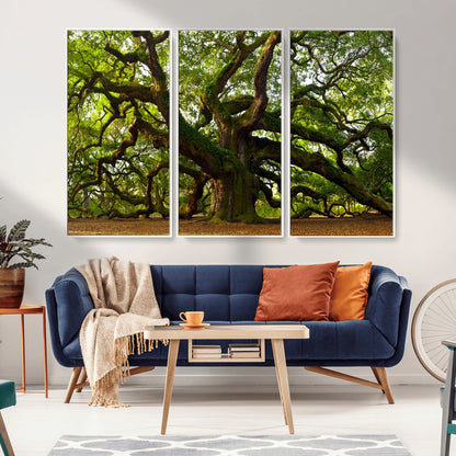 29407-MGV-CV-36X24-Ancient Oak Tree Wall Art – Majestic Nature Canvas Print, Large Tree Photography Decor for Living Room or Office