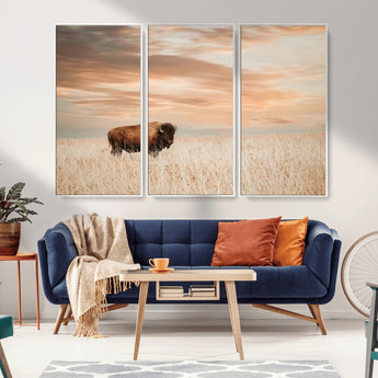 99699-MGV-FC-48X32-3P_White-Bison in Prairie at Sunset – Wildlife Photography Print, American Buffalo Wall Art, Nature Landscape Canvas Decor for Office