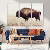 48406-MGV-FC-48X32-3P_White-American Bison Wall Art – Rustic Buffalo Canvas Print in Prairie Field, Western Wildlife Photography Decor for Cabin, Lodge,
