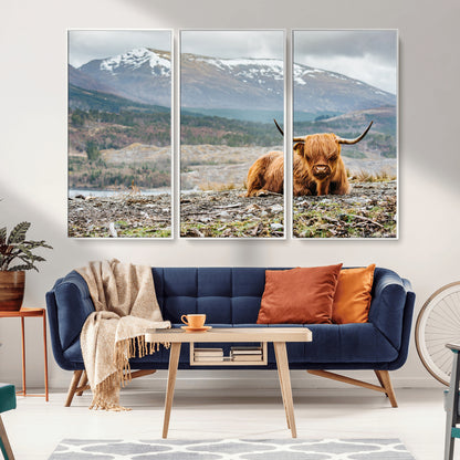 80252-MGV-FC-48X32-3P_White-Scottish Cow Wall Art Canvas Print, Framed Highland Cow Art Picture Print, Highland Cattle Perfect Rustic Farmhouse Decor Artwork