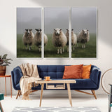 87339-MGV-FC-48X32-3P_White-Sheep Wall Art – Rustic Farmhouse Canvas Print Flock Standing Misty Field Countryside Photography, Country Animal Decor for Living