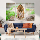 75066-MGV-FC-48X32-3P_White-Leopard Wall Art Canvas Print, Framed Wild Animal Art Picture Print, Blue Eye Leopard Perfect Wild Minimal Decor Artwork