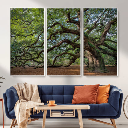MGV-FC-48X32-3P - Historic Tree Wall Art Canvas Print, Framed Mossy Tree Art Picture Print, Twisted Branches Perfect Nature Southern Decor Artwork