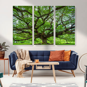 49375306-MGV-CV-36X24-Ancient Tree Wall Art Canvas Print, Framed Sprawling Branches Art Picture Print, Gnarling Tree Perfect Earthy Natural Decor