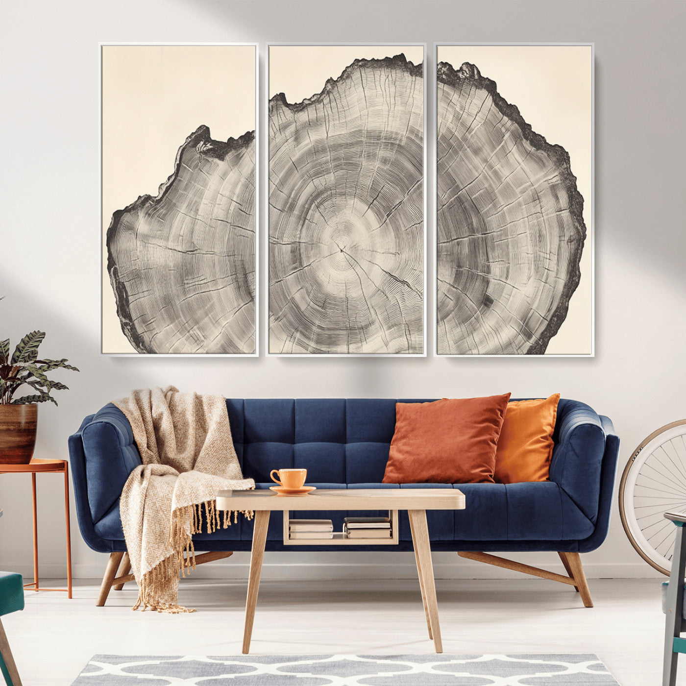 98921313-MGV-FC-48X32-3P_White-Tree Ring Wall Art Canvas Print, Framed Wood Slice Art Picture Print, Minimalist Wood Perfect Rustic Academic Decor Artwork